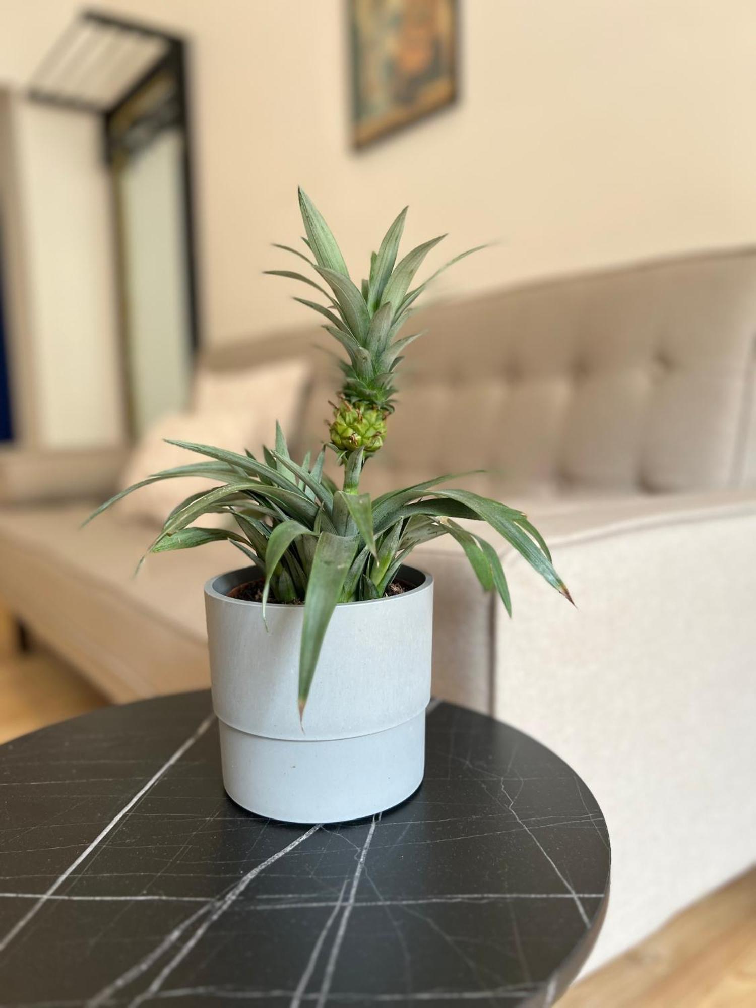 Modern Stay I Cosy & Central Apartments โคเบลนซ์ ภายนอก รูปภาพ