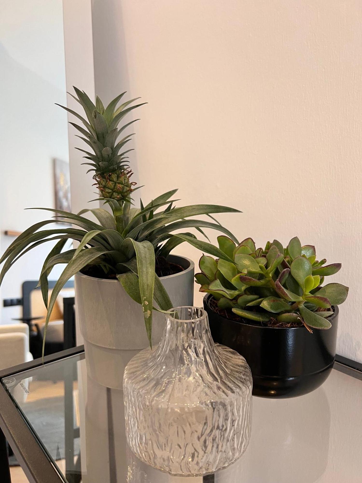 Modern Stay I Cosy & Central Apartments โคเบลนซ์ ภายนอก รูปภาพ